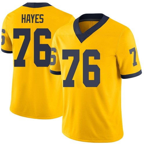 Ryan Hayes Michigan Wolverines Men's NCAA #76 Maize Limited Brand Jordan College Stitched Football Jersey UXM8454HY